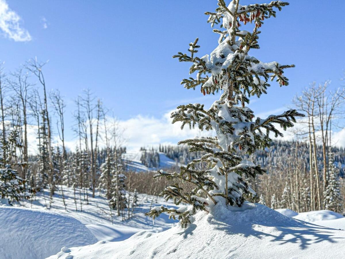 Eagle Roost Retreat By Ski Lifts Brian Head Bagian luar foto